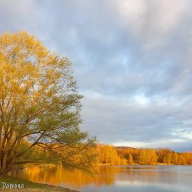 Paysage de pêche à l’étang des Vaures Arvernes Damona…