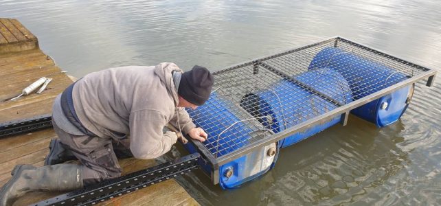 Les Travaux de Calou : #1