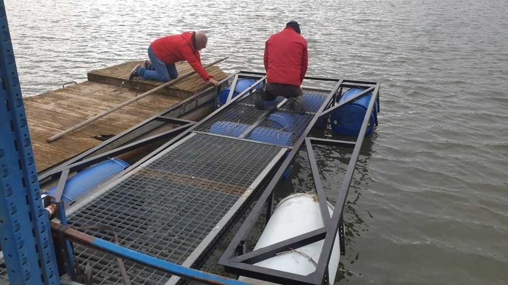 Les Travaux de Calou : #3 9 travauxcalou3 5