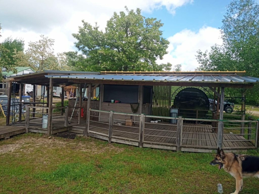 Les Travaux de Calou #6 : Remplacement du toit du Bar 6 travauxcalou6 5