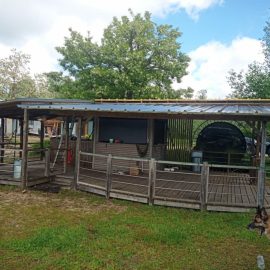 Un toit tout neuf pour le bar !