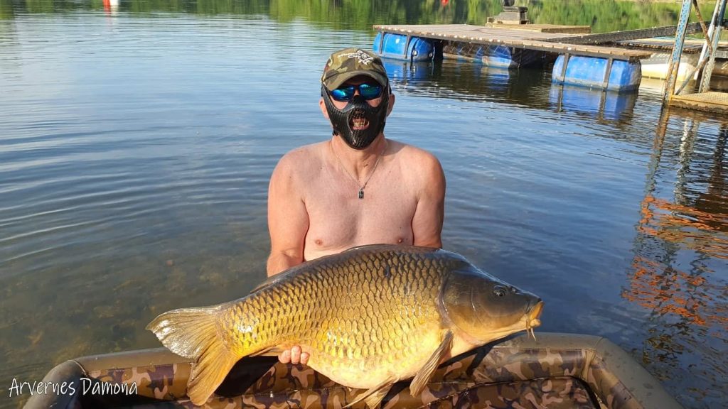 Session pêche explosive à l’étang Arvernes Damona : une carpe de 22 kg sortie à l’aube ! 1 Calou négocie avec une Carpe de 22kg