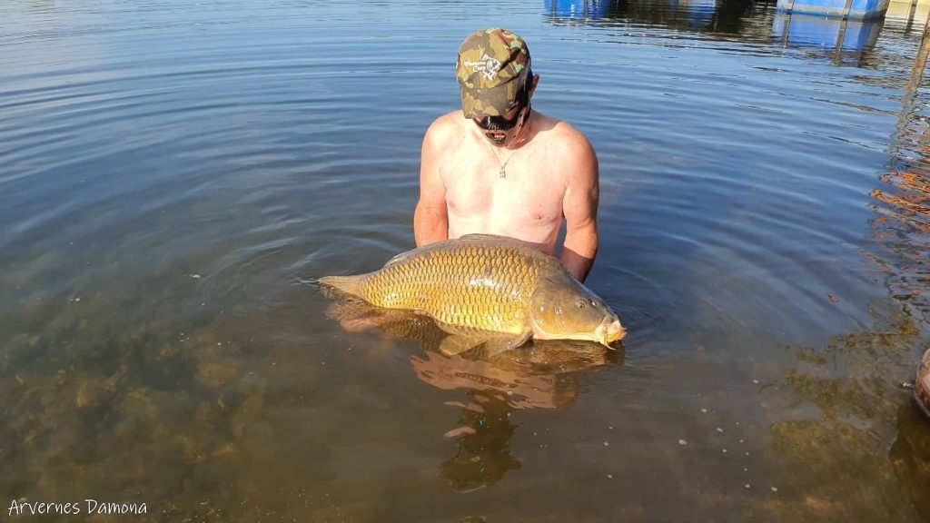Session pêche explosive à l’étang Arvernes Damona : une carpe de 22 kg sortie à l’aube ! 2 pecheur14062025 3
