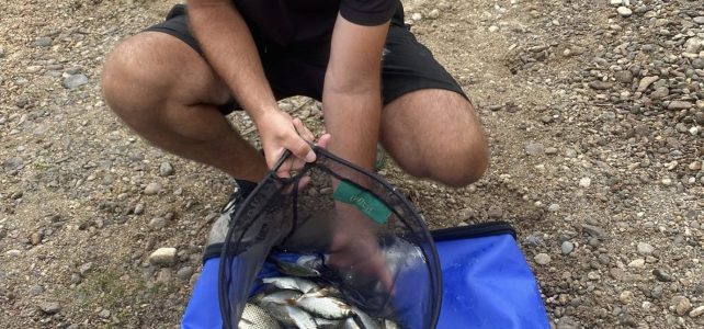 Session Feeder pour Sébastien & Eric !