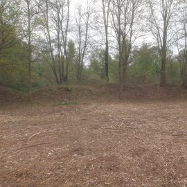 Poste 16 — Entre ronces et renouées du Japon, l’aventure continue !