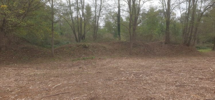 Poste 16 — Entre ronces et renouées du Japon, l’aventure continue !