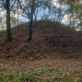 Poste 16 : le réveil du géant endormi