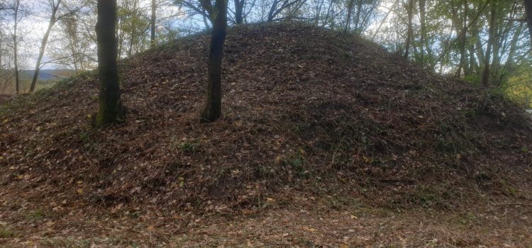 Poste 16 : le réveil du géant endormi