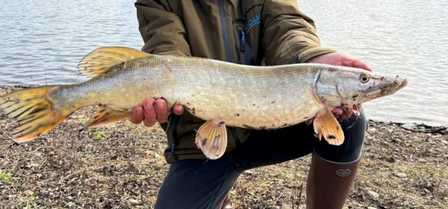 Premières Prises de l&rsquo;année !