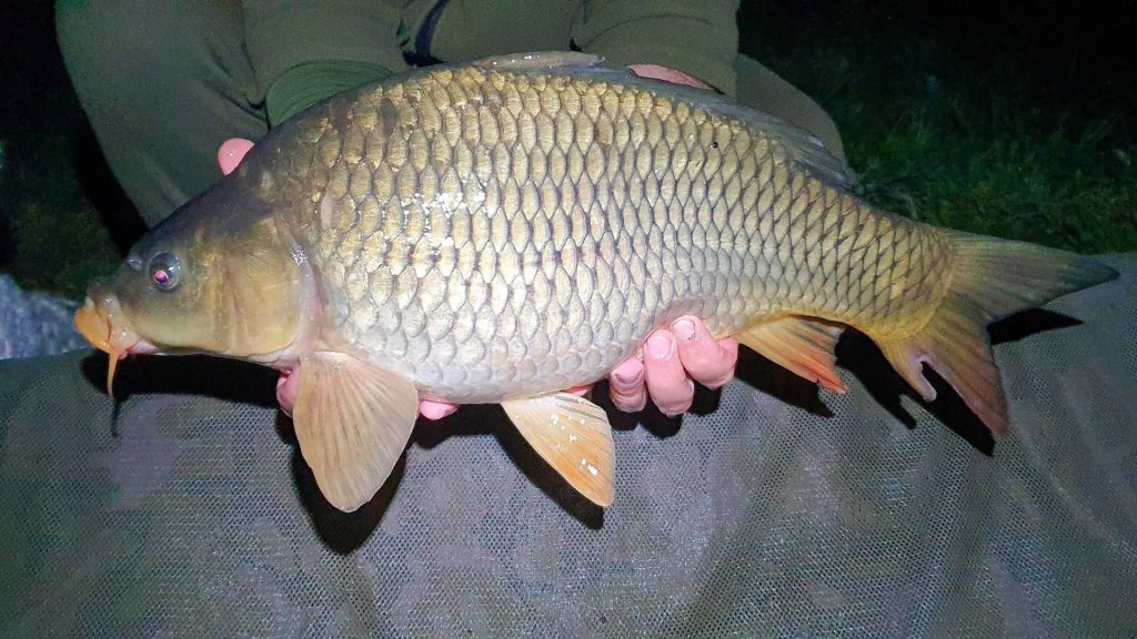 caloupecheur18042926 2