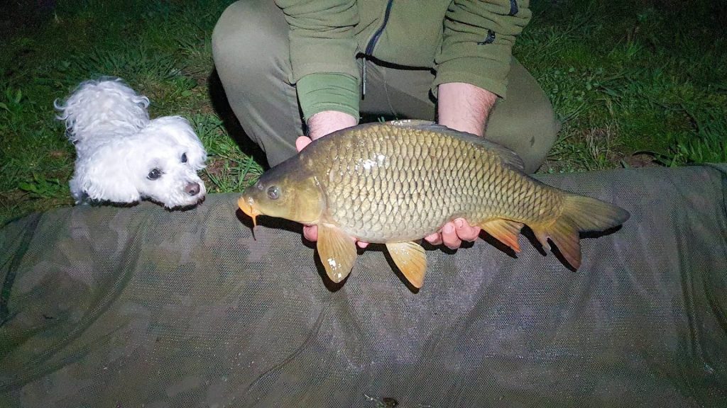 caloupecheur18042926 3