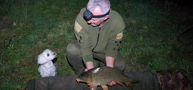 Soirée de pêche intense à l’Étang des Arvernes Damona : observation, surprises et moments de vie
