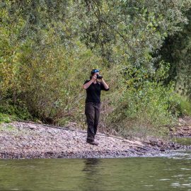 D’où viennent les photos de l’Étang des Arvernes Damona ? Une immersion au cœur du réel