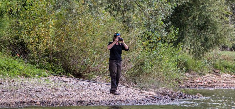 D’où viennent les photos de l’Étang des Arvernes Damona ? Une immersion au cœur du réel